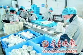 简单设备背后的专注与负责 一个小型餐具消毒厂的改变之道